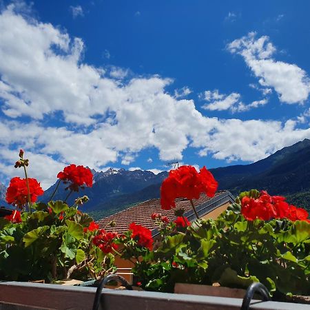 B&B Il Pettirosso Malonno Dış mekan fotoğraf