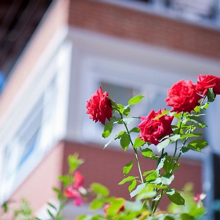 B&B Il Pettirosso Malonno Dış mekan fotoğraf