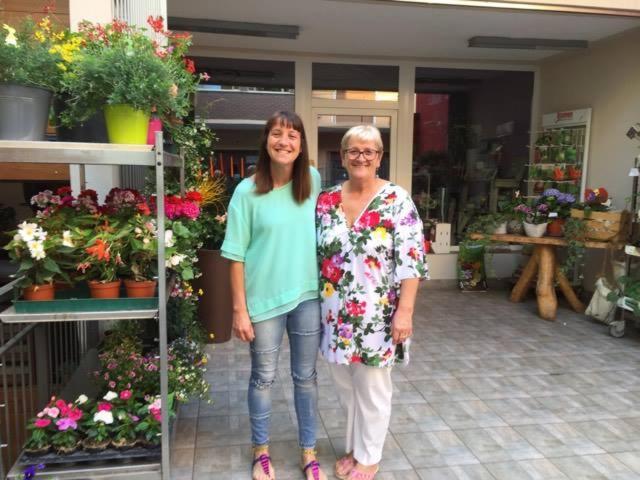 B&B Il Pettirosso Malonno Dış mekan fotoğraf