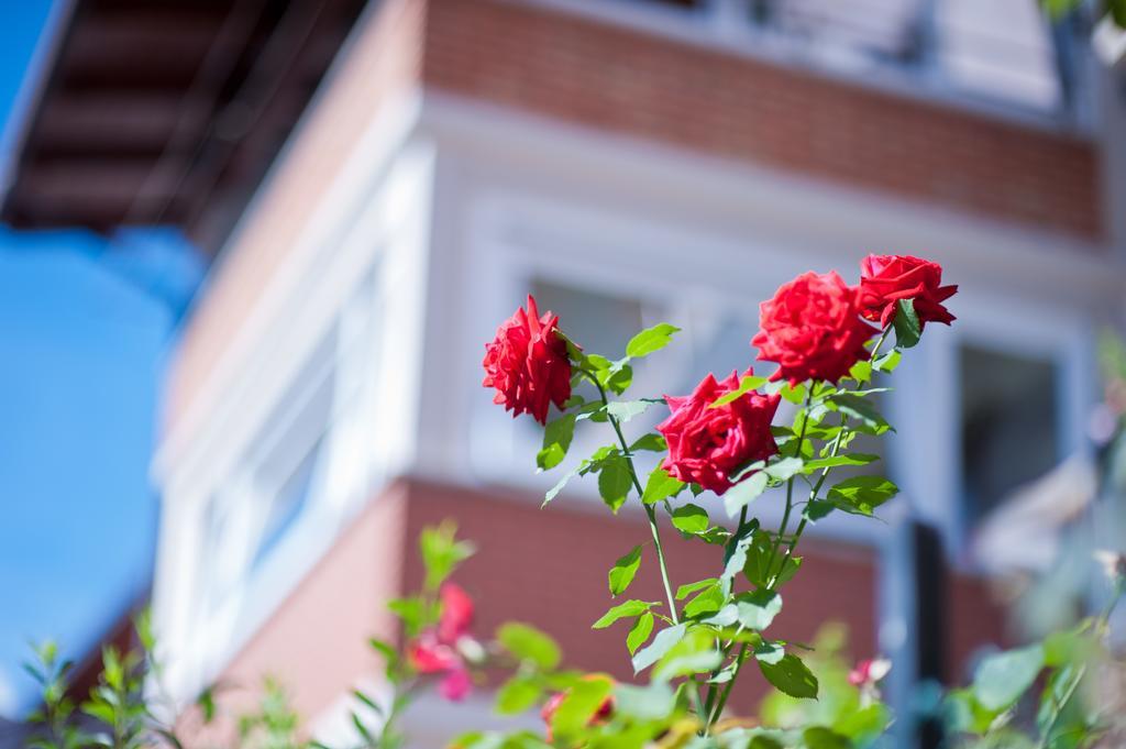 B&B Il Pettirosso Malonno Dış mekan fotoğraf