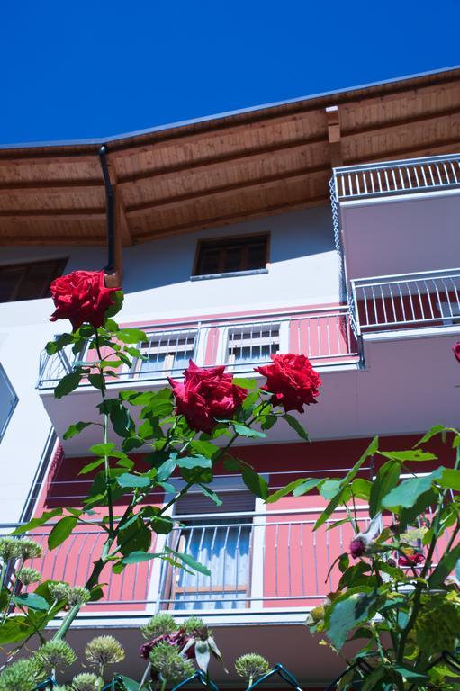 B&B Il Pettirosso Malonno Dış mekan fotoğraf